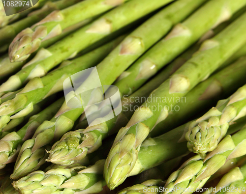 Image of Asparagus spears group