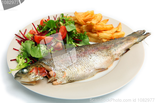 Image of Grilled rainbow trout meal