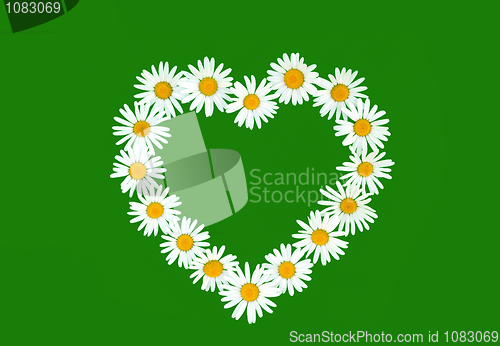 Image of Daisy in love shape over green background