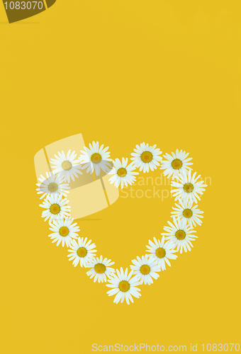 Image of Daisy in love shape over yellow background