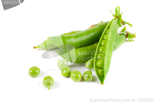 Image of Ripe pea