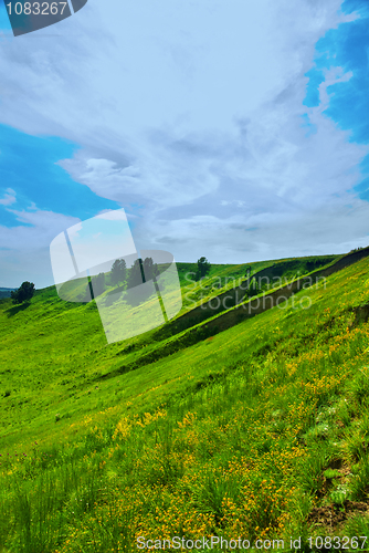 Image of summer landscape
