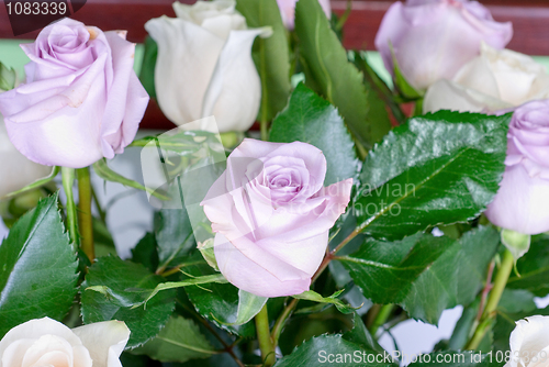 Image of pink roses