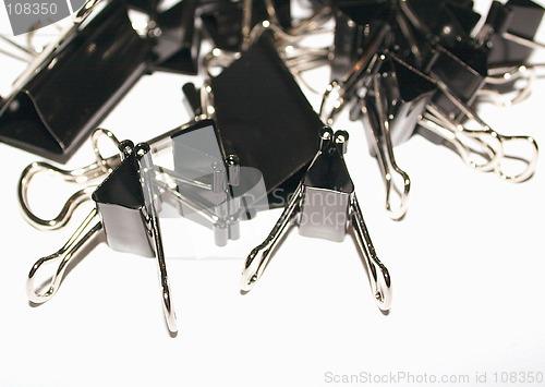 Image of bull clips