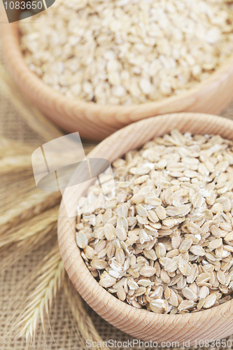 Image of oats