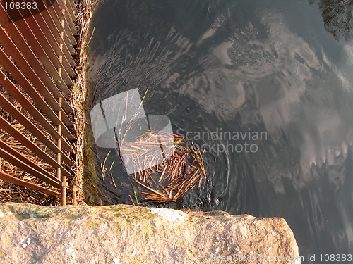 Image of Water