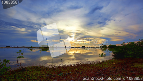 Image of Bonaire lake