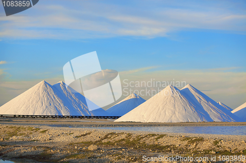 Image of Salt