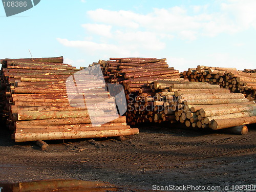 Image of Lumber