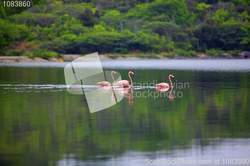 Image of Lake Gotomeer