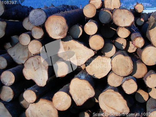 Image of Lumber