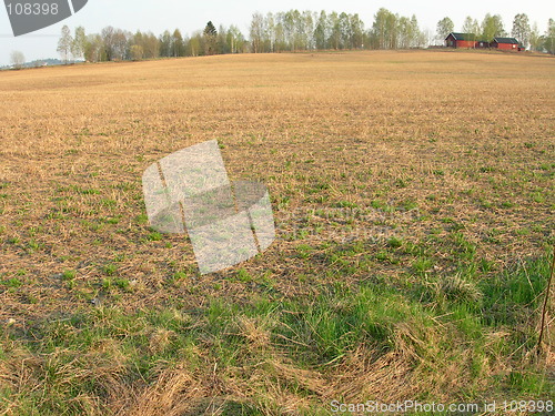 Image of Grain field