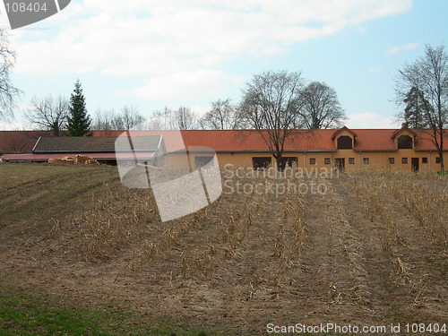 Image of Corn field