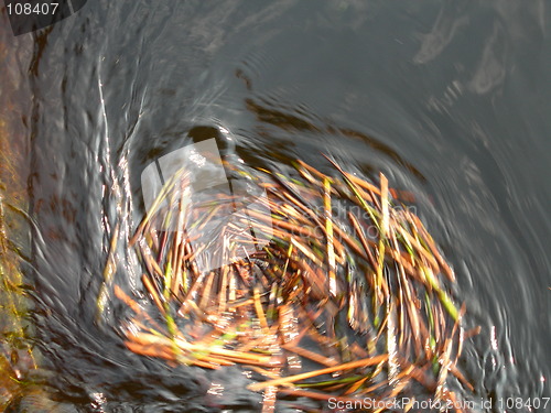 Image of Water