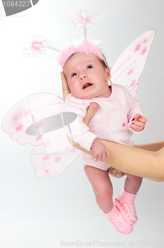 Image of Baby butterfly