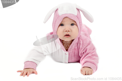 Image of baby bunny