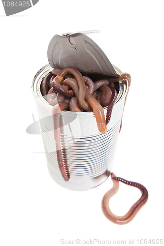 Image of Can of worms