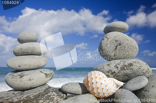 Image of Seashell by The Shore