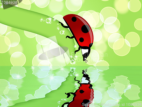 Image of Ladybug on Leaf Looking at Water Reflection