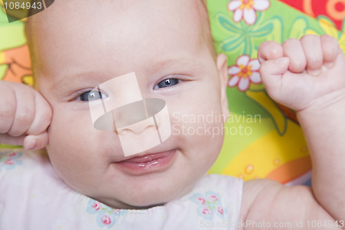 Image of Baby Portrait