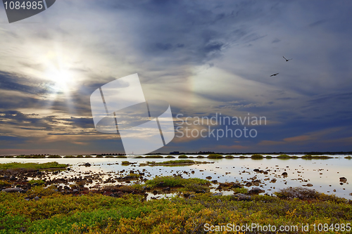 Image of Bonaire lake