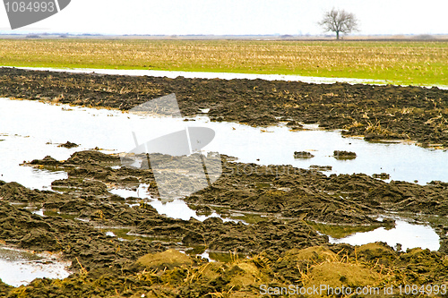 Image of Flood field