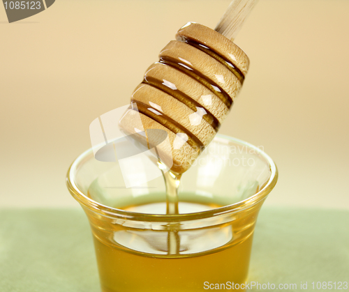 Image of Honey Dipper