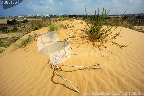 Image of The sand