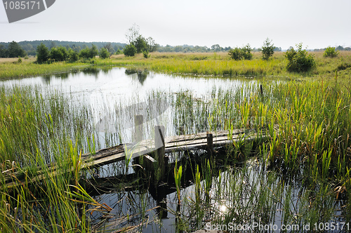 Image of The bridge across the stream 