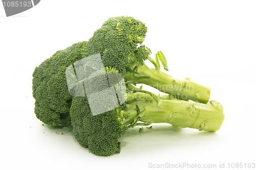 Image of Broccoli isolated on white background 