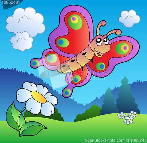 Image of Butterfly on meadow