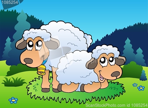 Image of Two sheep on meadow