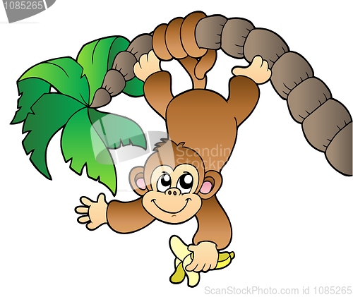 Image of Monkey hanging on palm tree