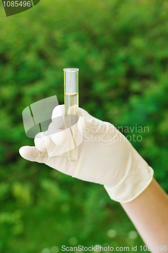 Image of Hand holding test tube with liquid