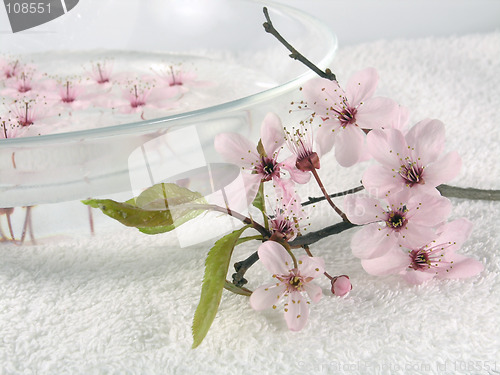 Image of home spa - a litte pink flowers