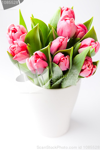 Image of Pink tulips