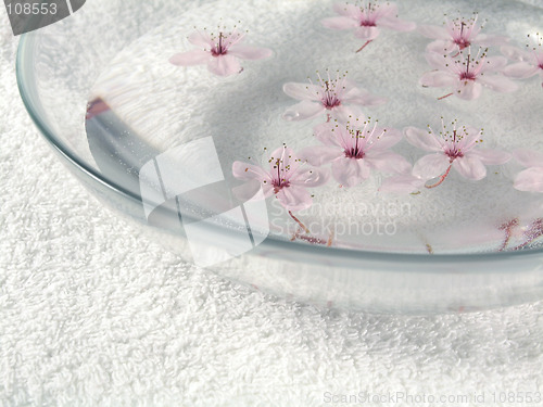 Image of home spa - a litte pink flowers