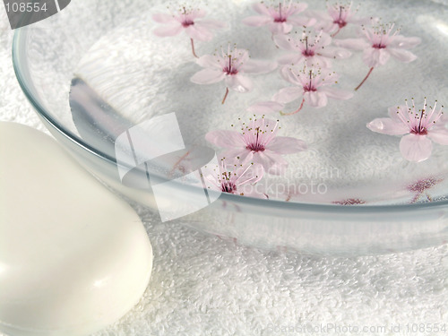 Image of home spa - a litte pink flowers