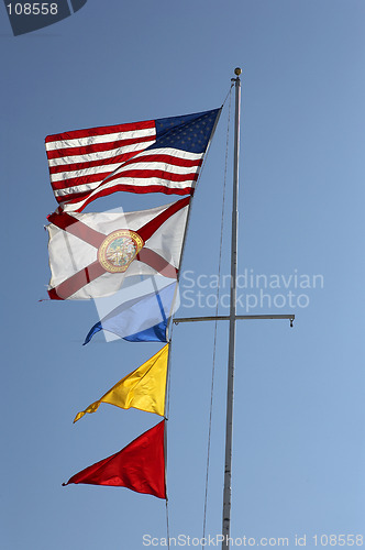 Image of American flags