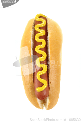 Image of Hot Dog