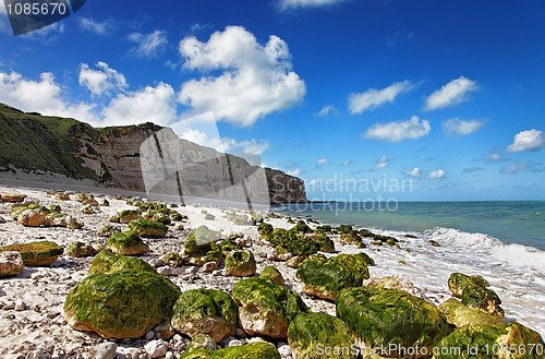 Image of Le Tileul beach