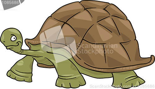 Image of big turtle