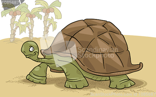 Image of big turtle