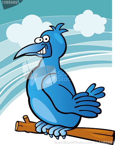 Image of Blue bird