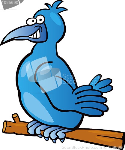 Image of Blue bird