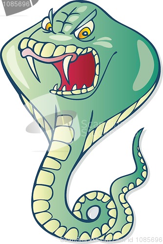 Image of Cobra snake