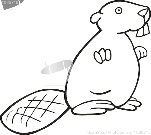 Image of Beaver for coloring book