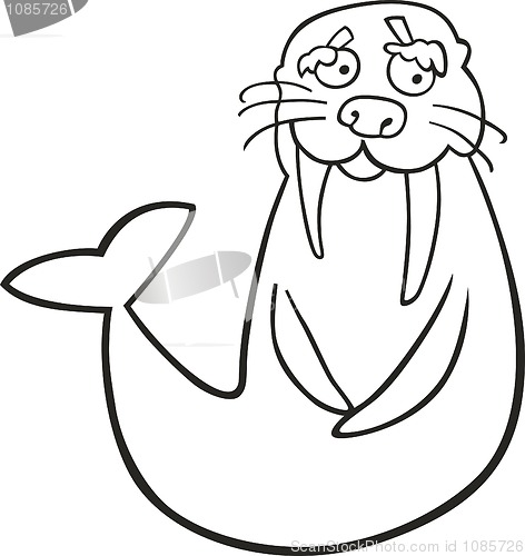 Image of Walrus for coloring book