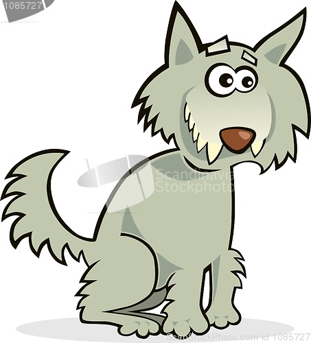 Image of Wolf