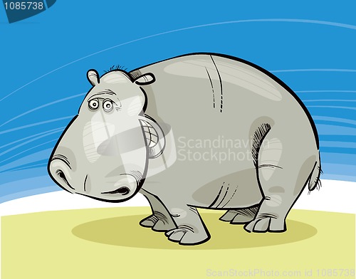 Image of Hippopotamus